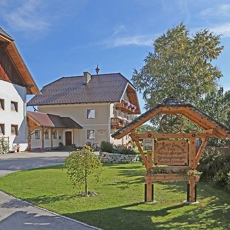Ulnhof Apartment Mariapfarr Exterior photo