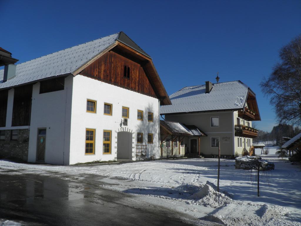 Ulnhof Apartment Mariapfarr Exterior photo